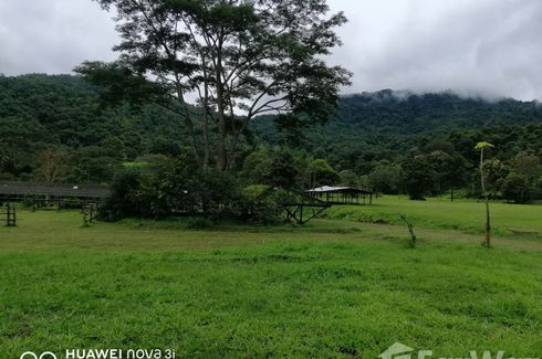 Land for sale in Inthakhin, Chiang Mai