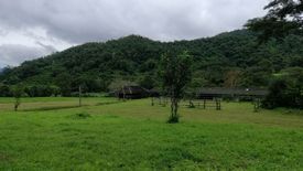 Land for sale in Inthakhin, Chiang Mai