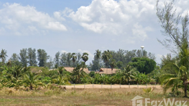 Land for sale in Choeng Thale, Phuket