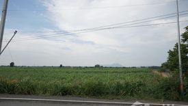 Land for sale in Wang Muang, Saraburi