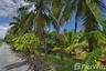 Land for sale in Tha Talat, Nakhon Pathom