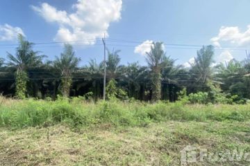 Land for sale in Sai Thong, Prachuap Khiri Khan