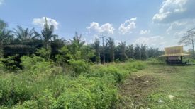 Land for sale in Sai Thong, Prachuap Khiri Khan