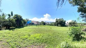 Land for sale in Wichit, Phuket