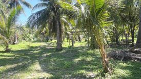 Land for sale in Wichit, Phuket