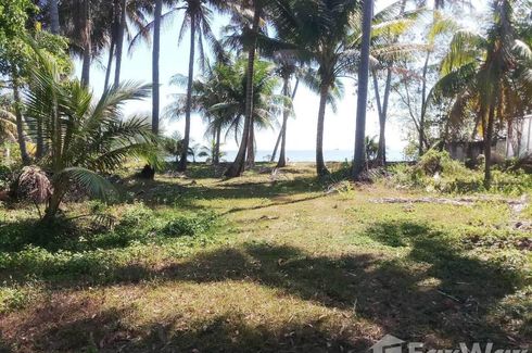 Land for sale in Wichit, Phuket