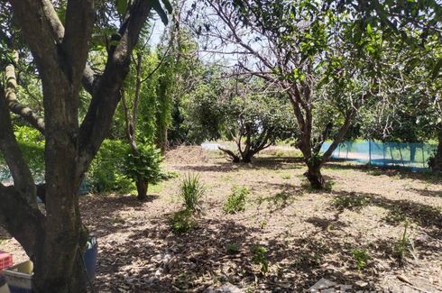 Land for sale in Phan Thong, Chonburi