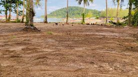 Land for sale in Ko Chang, Trat