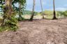 Land for sale in Ko Chang, Trat