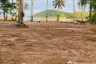 Land for sale in Ko Chang, Trat