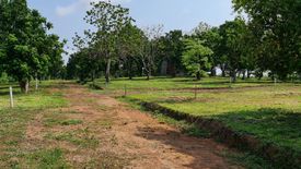 Land for sale in Huai Sak, Chiang Rai