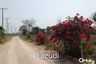 Land for sale in Hua Hin, Prachuap Khiri Khan