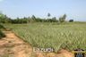 Land for sale in Wang Phong, Prachuap Khiri Khan