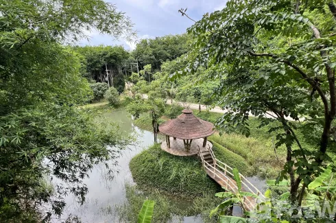 Land for sale in Ko Yao Noi, Phang Nga