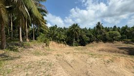 Land for sale in Ban Tai, Surat Thani