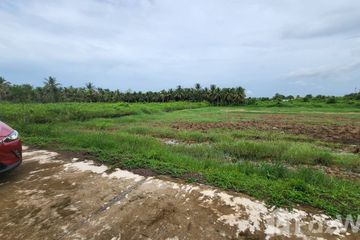 Land for sale in Ban Mo, Phetchaburi