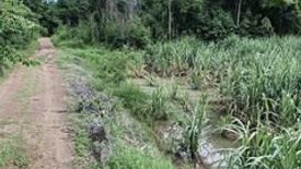 Land for sale in Sa Kruat, Phetchabun