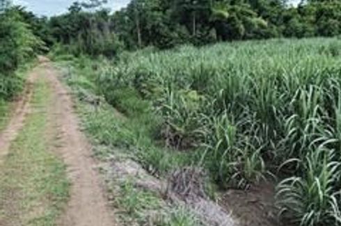 Land for sale in Sa Kruat, Phetchabun