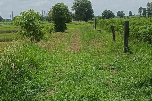 Land for sale in Si Lako, Nakhon Ratchasima