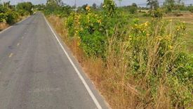 Land for sale in Si Lako, Nakhon Ratchasima