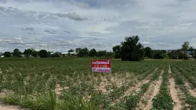 Land for sale in Khao Khan Song, Chonburi