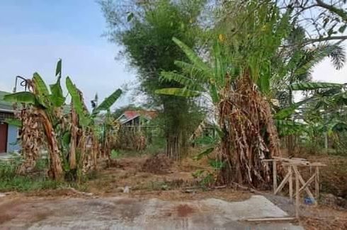 Land for sale in Pa Khlok, Phuket