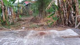 Land for sale in Pa Khlok, Phuket