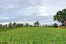 Land for sale in Thap Tai, Prachuap Khiri Khan