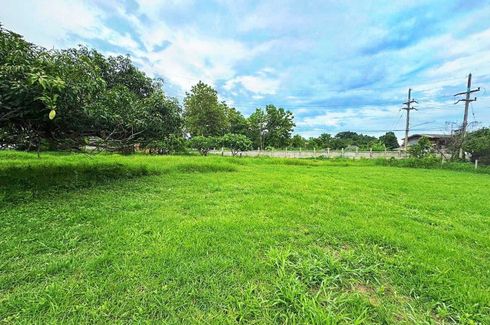 Land for sale in Nong Han, Chiang Mai