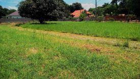 Land for sale in Nong Han, Chiang Mai