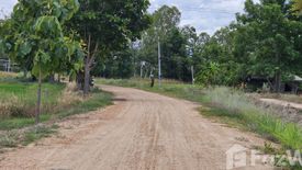 Land for sale in Ban Thi, Lamphun