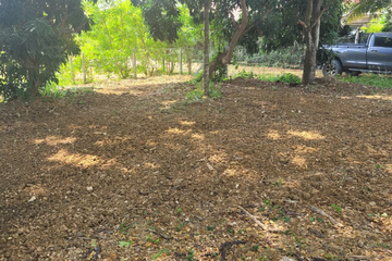 Land for sale in Nong Faek, Chiang Mai