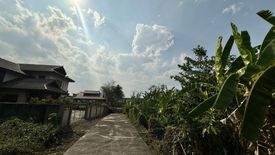 Land for sale in Nong Chom, Chiang Mai