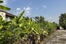 Land for sale in Nong Chom, Chiang Mai