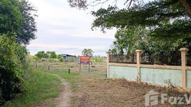 Land for sale in Nong Mueang, Lopburi