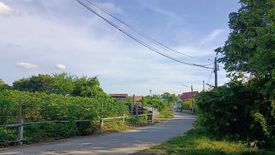 Land for sale in Nong Mueang, Lopburi