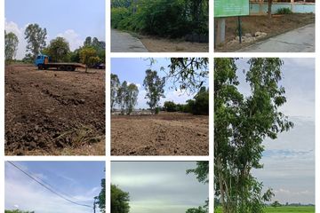 Land for sale in Nong Mueang, Lopburi