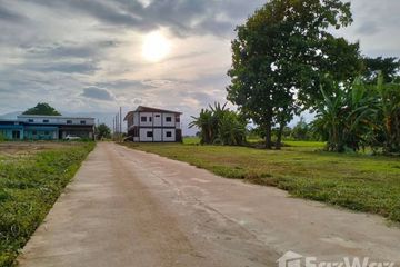 Land for sale in Mueang Phan, Chiang Rai