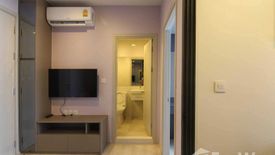 1 Bedroom Condo for rent in Life Sukhumvit 48, Phra Khanong, Bangkok near BTS Phra Khanong