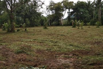 Land for sale in Si Sunthon, Phuket