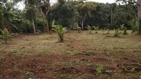 Land for sale in Si Sunthon, Phuket