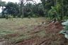 Land for sale in Si Sunthon, Phuket