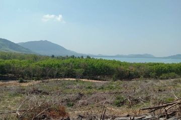 Land for sale in Ko Yao Yai, Phang Nga