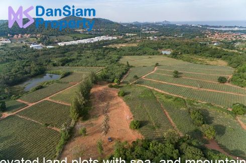 Land for sale in Wang Phong, Prachuap Khiri Khan