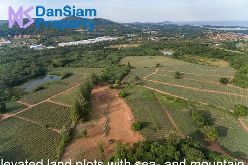 Land for sale in Wang Phong, Prachuap Khiri Khan