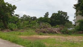 Land for sale in Bang Muang, Phang Nga