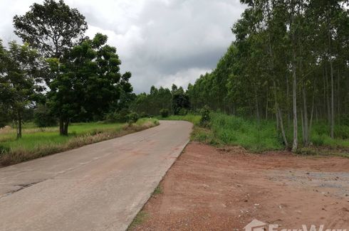 Land for sale in Nong Ki, Prachin Buri