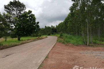 Land for sale in Nong Ki, Prachin Buri