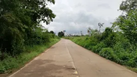 Land for sale in Nong Ki, Prachin Buri