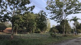 Land for sale in Thung Samo, Phetchabun